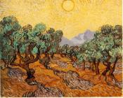 文森特 威廉 梵高 : 有黄色天空和太阳的橄榄树